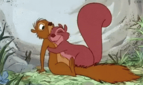 Squirrel Love GIF - Squirrel Love Hug GIFs