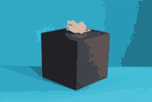 a black box with tissues in it on a blue surface