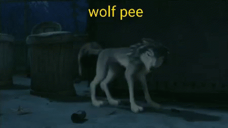 Wolf Try GIF - Wolf Try Pee GIFs