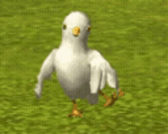 a white bird with a yellow beak is standing on a green field