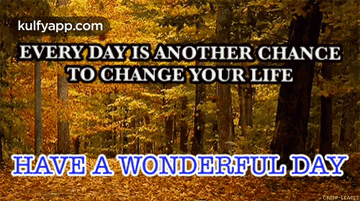 Have A Wonderful Day.Gif GIF - Have A Wonderful Day Goodmorning Morning Qoutes GIFs