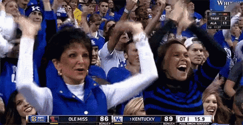 a crowd of people watching a kentucky game