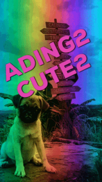 a pug puppy sits in front of a sign that says adiing cute 2