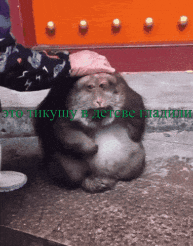 a monkey wearing a pink hat is sitting on a table with russian writing on it
