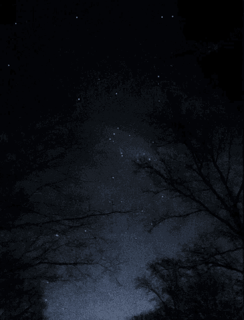 a dark night sky with a lot of stars and trees in the foreground