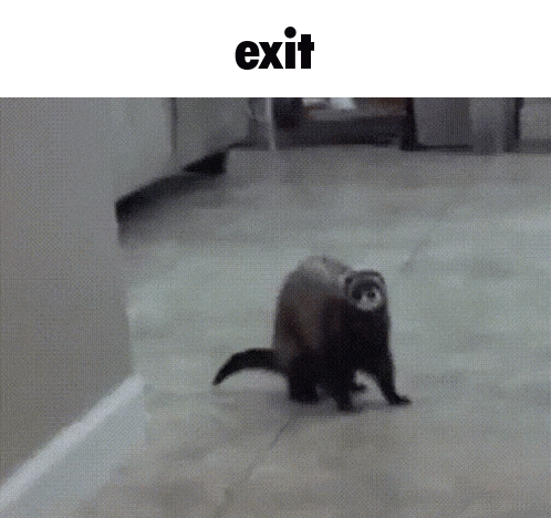 a ferret is walking across a tiled floor with the word exit above it
