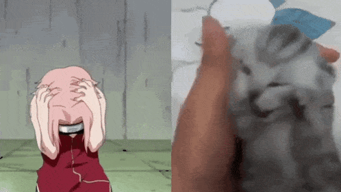 a cartoon of a girl covering her face next to a picture of a cat being petted .