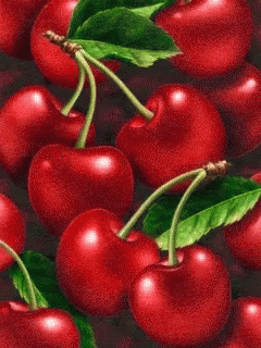 Red Tomatoes GIF - Red Tomatoes GIFs
