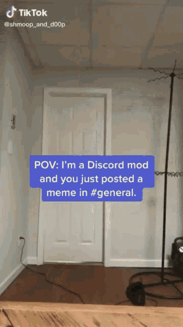 Discord Mod GIF - Discord Mod General GIFs
