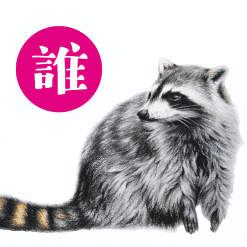 a drawing of a raccoon in front of a pink circle with chinese characters
