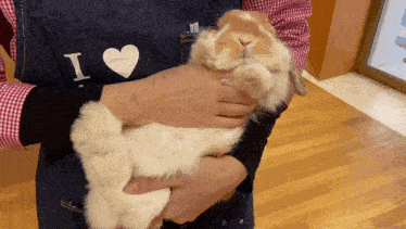 a person is holding a brown and white rabbit in their arms with an apron that says i love