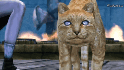 a cat with blue eyes is standing in front of a person with illusive soul written on the bottom right