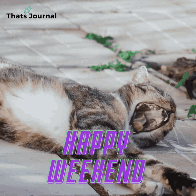 a cat laying on the ground with the words happy weekend written above it
