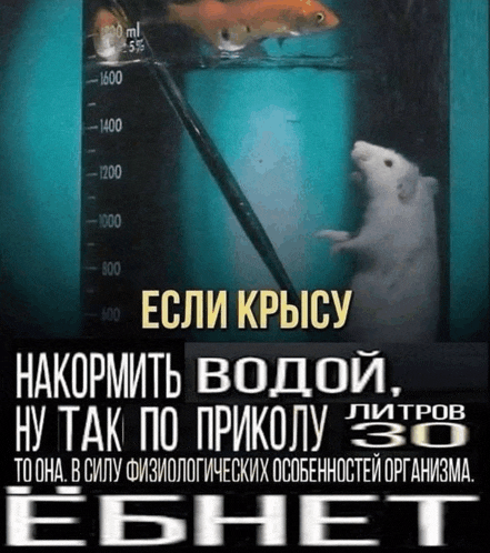 a picture of a mouse standing in front of a measuring cup with russian writing on it