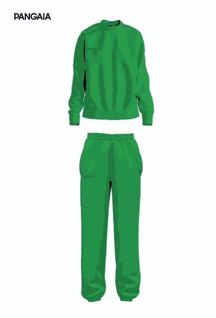 the back of a purple sweatshirt and pants with the word pangaia on the bottom