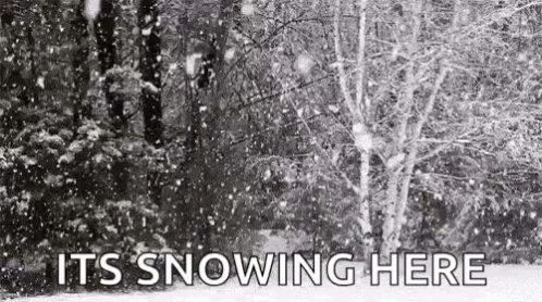 Trees Snowing Here GIF - Trees Snowing Here Holidays GIFs