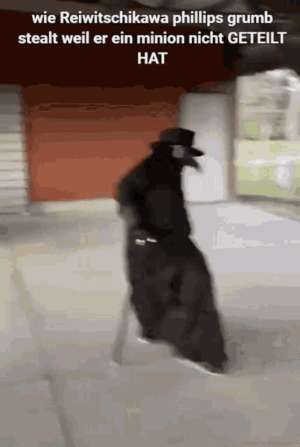 Rattje GIF