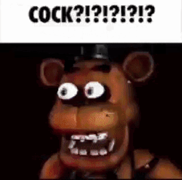 a close up of a teddy bear with a hat on and a caption that says cock ?