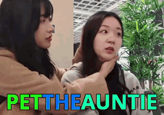 two women are standing next to each other and the words pettheauntie are visible