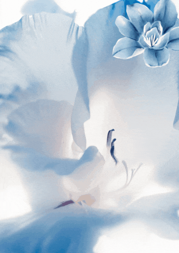 a painting of blue and white flowers with a b.d. domingo realty logo in the corner
