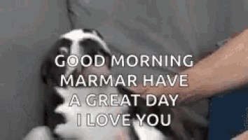 a person is petting a dog with the words `` good morning marmar have a great day i love you '' written above it .