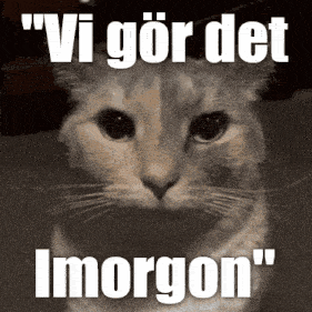 a picture of a cat with the words " vi gör det imorgon " on it
