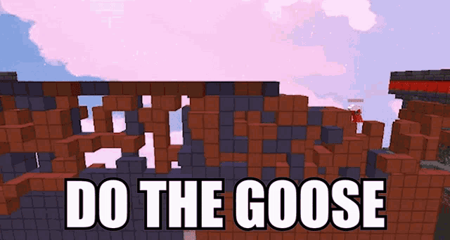 Do The Goose Hypixel GIF - Do The Goose Hypixel Hypixel Bridge GIFs