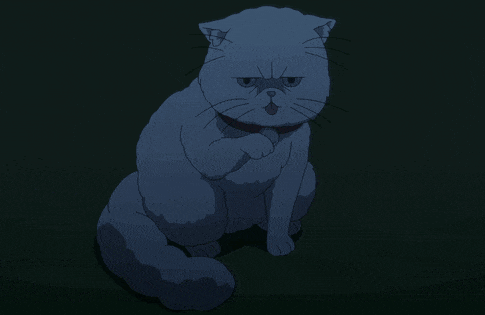 a cat with a collar is sitting on the ground