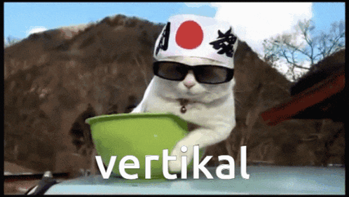 a white cat wearing sunglasses and a headband is holding a green bowl with the word vertical written on it