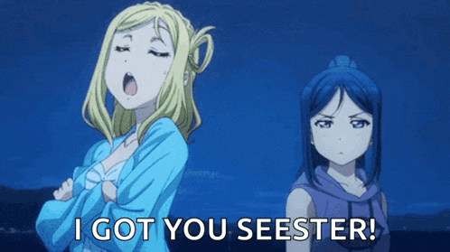 two anime girls are standing next to each other and one says i got you seester