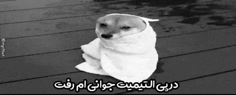 a dog is wrapped in a towel and has arabic writing on it .