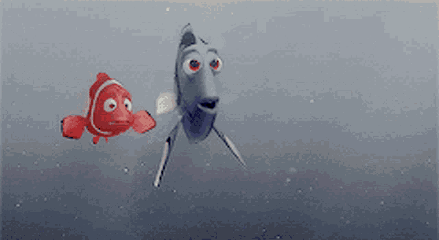 a clown fish swimming next to another fish in the water