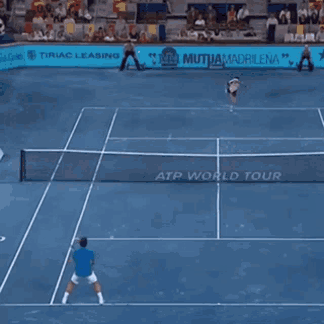 David Ferrer Roger Federer GIF - David Ferrer Roger Federer Blue Clay GIFs