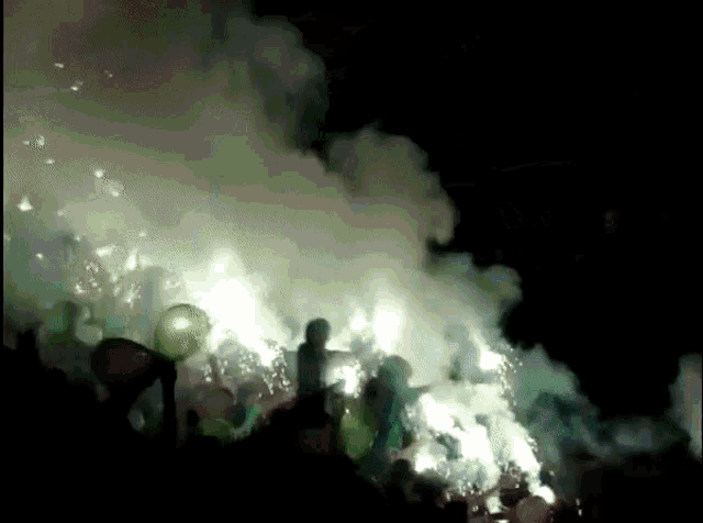 a crowd of people are watching a fireworks display at night