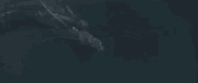 a close up of a dragon swimming in the dark .