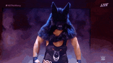 a wrestler wearing a wolf mask and a black tank top with a wolf on it