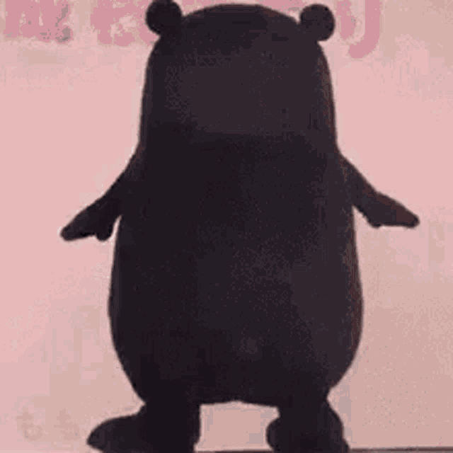 a black teddy bear is standing in front of a pink wall and dancing .
