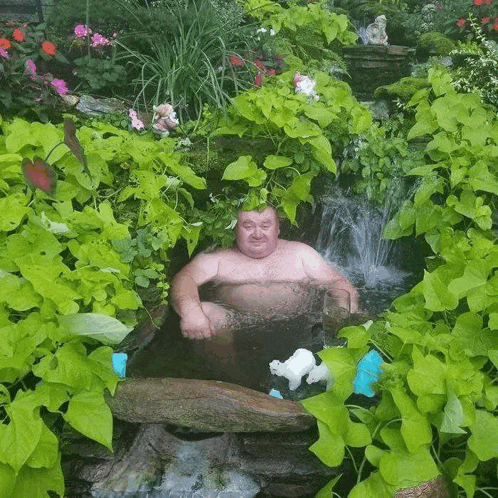 a man sits in a pond surrounded by plants