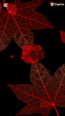 a red background with the words gülüşum kimlere dert olmadi ki on the bottom