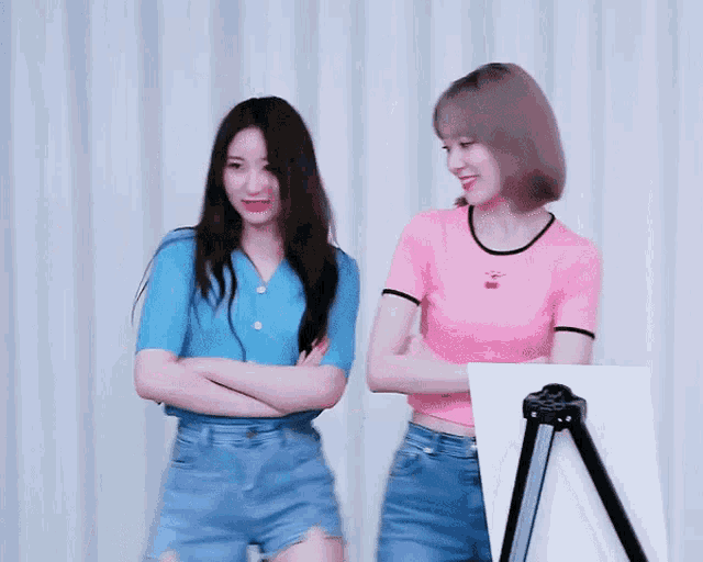 two girls are standing next to each other with their arms crossed and one is wearing a pink shirt with a cherry on it