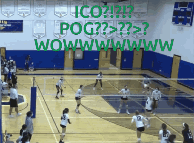 Ico Pog GIF - Ico Pog Volleyball GIFs