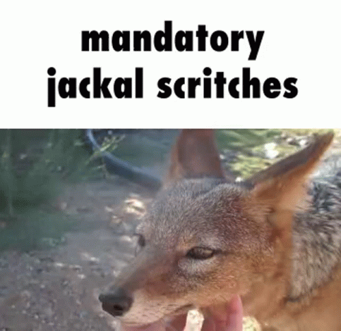 Jackal Scritches GIF - Jackal Scritches Pet GIFs