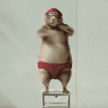 a hamster wearing a red swim cap and red underwear is standing on a stool .