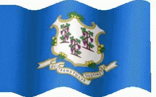Connecticut Flag GIF