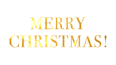 the words merry christmas are written in gold letters