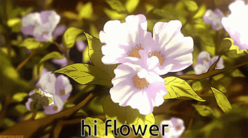 Hi Flower Say Hello Hi Flour Hi GIF - Hi Flower Say Hello Hi Flour Hi GIFs