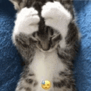 a kitten is laying on its back on a blue blanket covering its eyes with its paws and a yellow smiley face .