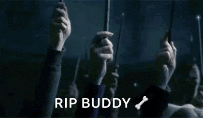 a group of people are holding up their wands in the air and they are saying rip buddy .