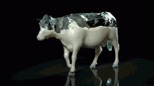 Milk Cow GIF - Milk Cow GIFs