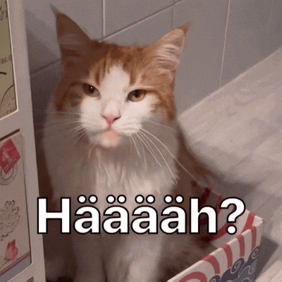 an orange and white cat is sitting in a box with the word haaaah written on it